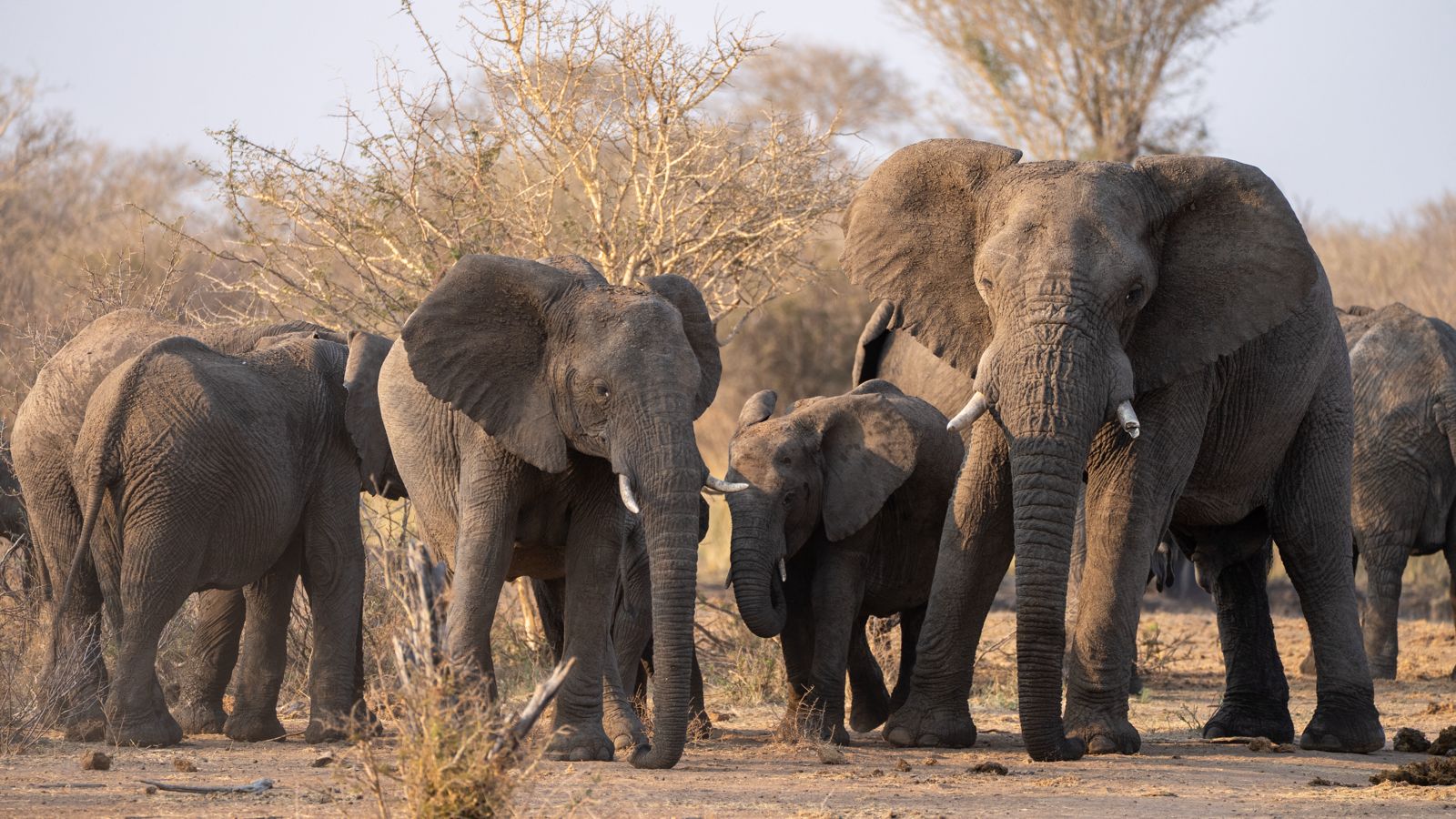 WhatsApp Image 2025-10-24 at 18.19.54